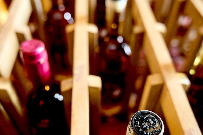 100% Caribbean Rum Tasting in Punta Cana. - Inside the Rum Story: Cane, Juice, Molasses, and Solera