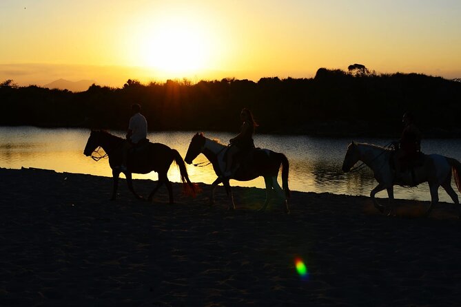 2-Hour Horseback Riding Tour at Sunset from Punta Cana - Key highlights worth knowing before you go