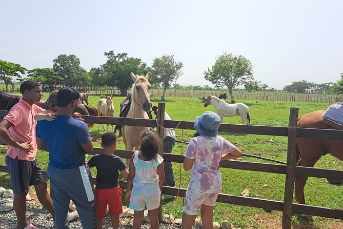 2-Hour Horseback Riding Tour at Sunset from Punta Cana - Boca de Maimón: where the river meets the beach