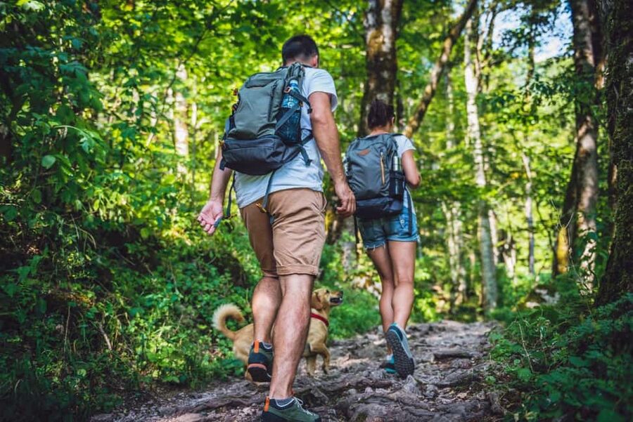 27 Waterfalls Tour with Entrance Fee & Lunch - A Half-Day Rhythm: Check-In, Hike, Jumps, and Pool Time