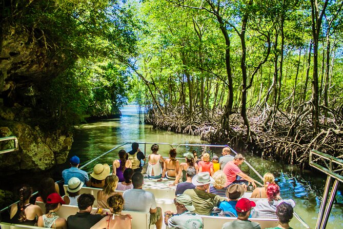 2in1: Los Haitises National Park + Yanigua Waterfall-SPA - Key points to know before you go