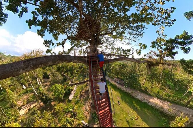 2in1: Los Haitises National Park + Yanigua Waterfall-SPA - The cacao, coffee, and chocolate learning moment you will actually remember