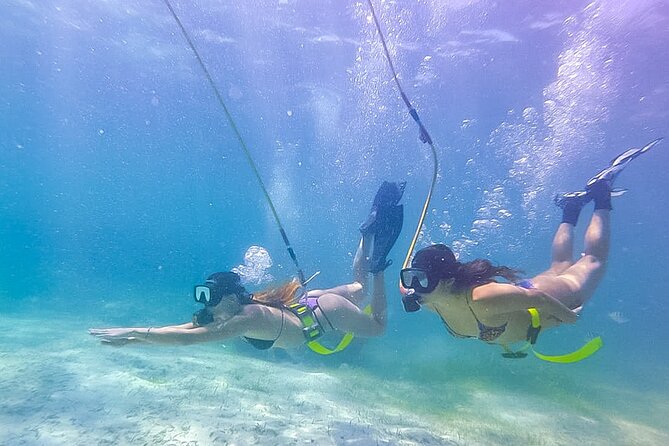 3 ADVENTURES: Sailing Catamaran Cruise - Hooka Diving - Snorkeling - Key Highlights You Should Know