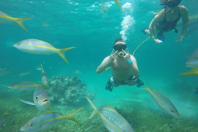 3 ADVENTURES: Sailing Catamaran Cruise - Hooka Diving - Snorkeling - Punta Cana at 2:00 pm: the timing that makes it work