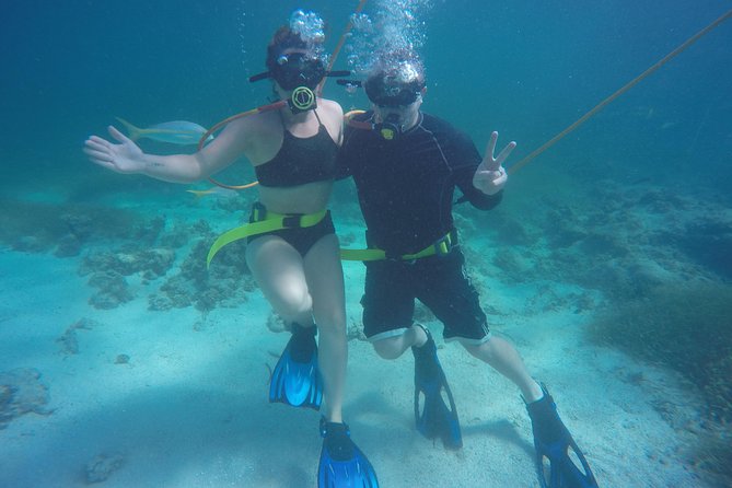 3 ADVENTURES: Sailing Catamaran Cruise - Hooka Diving - Snorkeling - Catamaran party cruise energy, open bar, and what that means in practice
