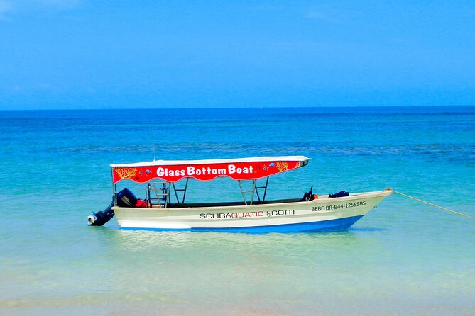 3 hrs Glass Boat Tour in Punta Cana - Stop 3 at the natural pool: the longer hangout that makes it feel worthwhile
