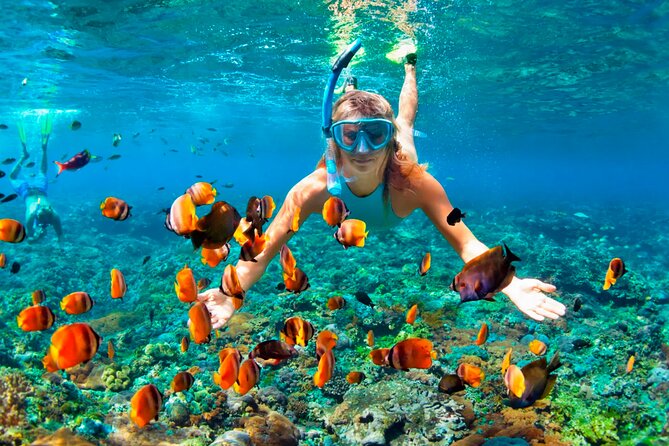 3 hrs Glass Boat Tour in Punta Cana - Price check: is $55 fair value for what you get?