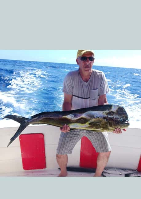 4 hour deep sea fishing experience from punta cana - Key Points I Think Matter Most Before You Go