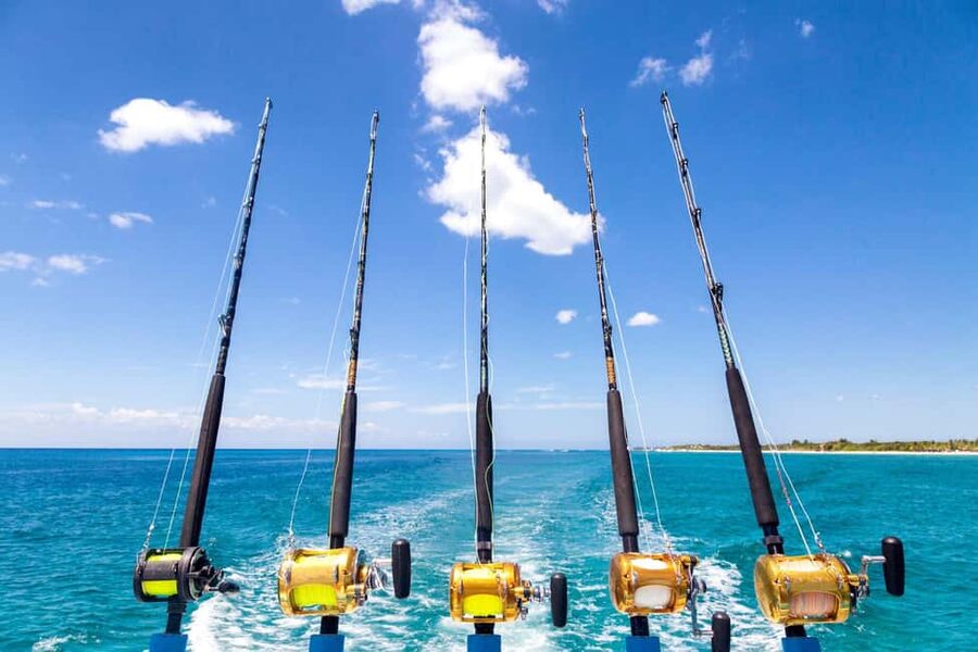 4 hour deep sea fishing experience from punta cana - What You Can Catch Off Punta Cana (And What Season Might Change)