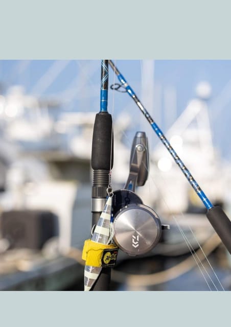 4 hour deep sea fishing experience from punta cana - Price And Value: When $100 Works, And When You Should Adjust Expectations