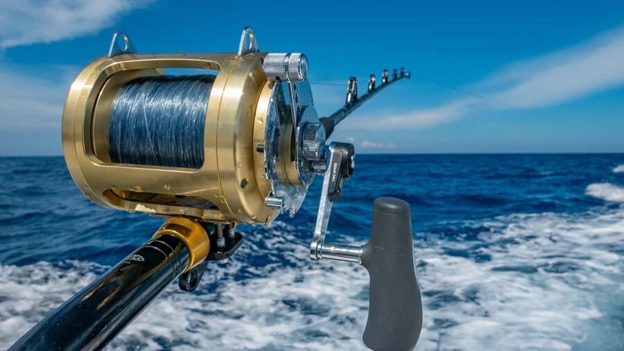 4 hour deep sea fishing experience from punta cana - The 4-Hour Trolling Session: How The Fishing Really Works