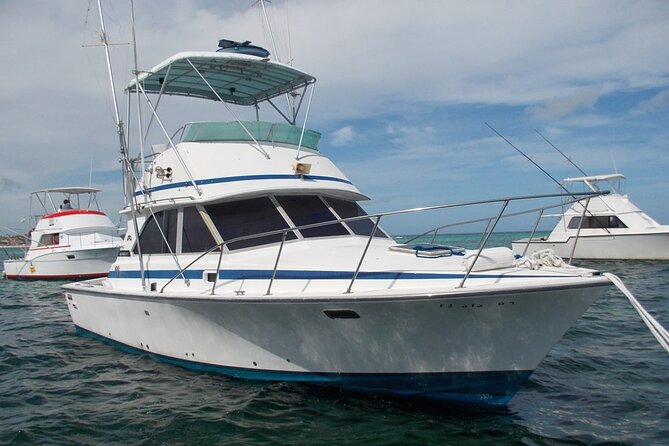 4 Hour Punta Cana Fishing Tour - Seasickness and rough water: the deal-breaker check