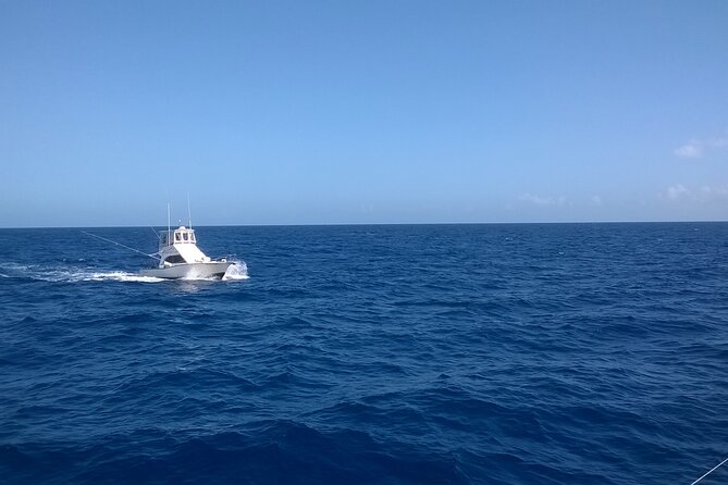 4 Hour Punta Cana Fishing Tour - The offshore setup: trolling, rig-dragging, and why it changes your odds