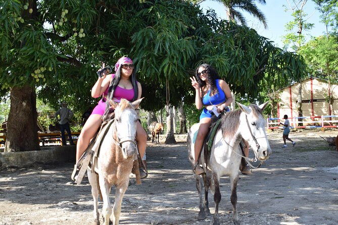 5 tours in 1 (Eco Farm/Horseback/City Tour/Buggy/Zipline) - Horseback through cocoa country, then a rum-and-honey break