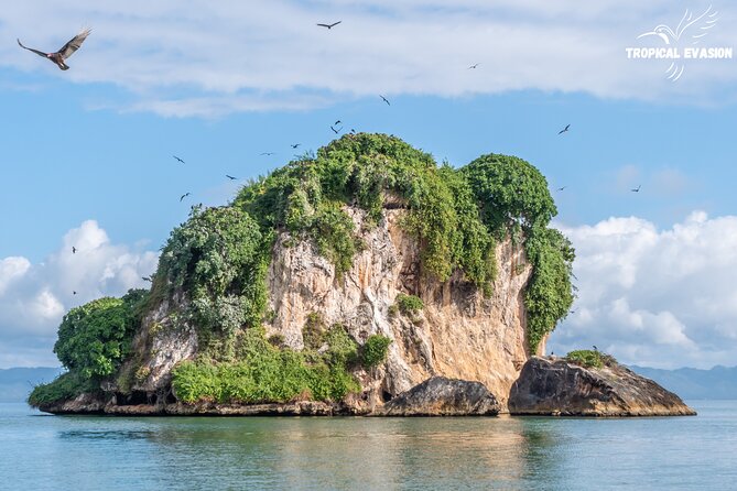 6-Day Private Tour between Bayahibe and Samana Bay - Las Terrenas free days: your time to actually enjoy Samaná at your pace