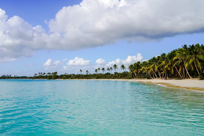 6 Hour Private Saona Island Tour with Snorkeling - Your own boat day trip to Saona, starting in Bayahibe