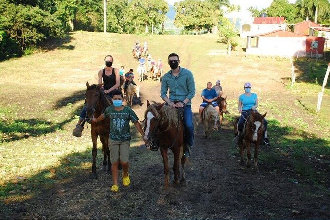 6 in 1 tours Full Day Safari, Zipline, Buggies and Horse Riding - The Hacienda Stop: Cigar Twisting and Mamajuana Tasting