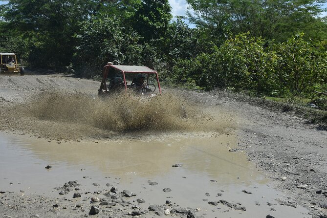 7 Waterfalls Damajagua and Dune Buggy - Dune Buggy Ride in Puerto Plata: Mud, Intensity, and Vergantin Beach