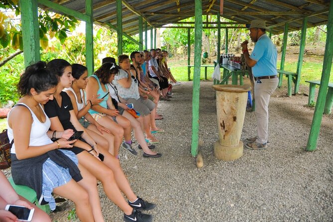 8-Hour Tour Enjoying the Dominican Culture Through the Countryside - Salto De Anamuya River Swim: The Most Refreshing Part