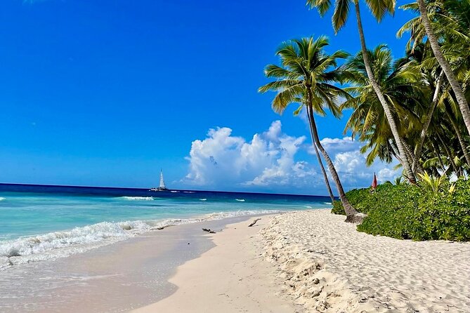 A Magical Day on Saona Island - Isla Saona Day: What Makes It Worth Your Time