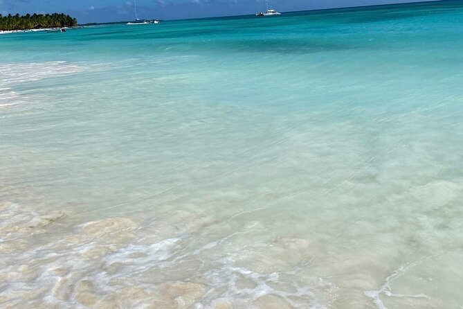 A Magical Day on Saona Island - Key Highlights You’ll Care About