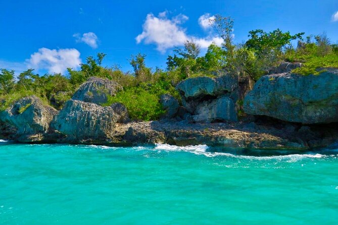 A Magical Day on Saona Island - Isla Saona Beach Time: The Three Hours That Actually Matter