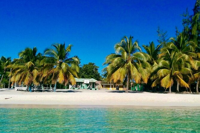 A Magical Day on Saona Island - Who This Saona Trip Fits Best (And Who Might Want Something Else)