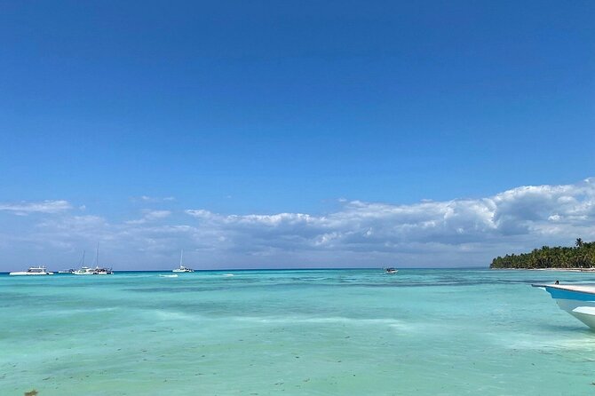 A Magical Day on Saona Island - Price and Value: Is $76.50 a Good Deal?
