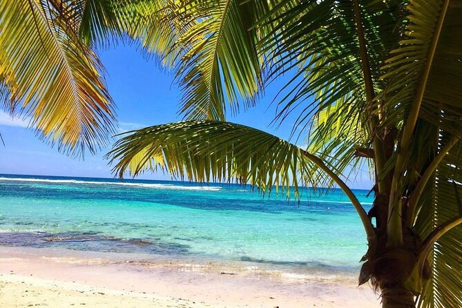A Magical Day on Saona Island - What to Bring, What to Expect, and How to Enjoy It Fully