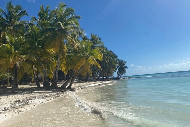 A Magical Day on Saona Island - From Your Hotel to Bayahíbe: The Morning Setup