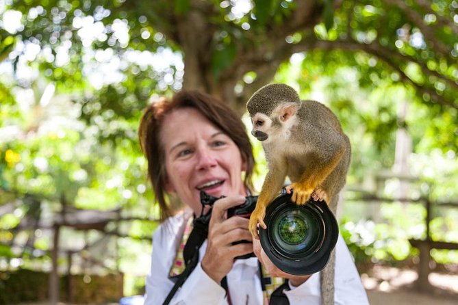 Adventure Bundle: Monkeyland, Ziplines & Buggies Punta Cana - Buggy Driving to Anamuya River: Instruction First, Then Mud, Then a Swim