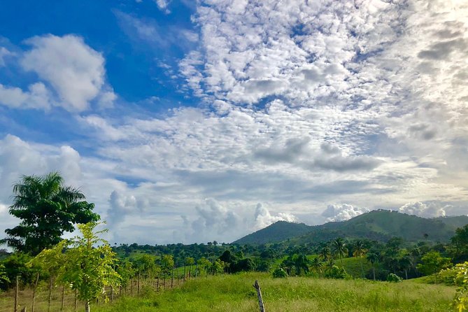 Adventure Bundle: Monkeyland, Ziplines & Buggies Punta Cana - What I’d Pack for a Day With Harnesses, Monkeys, and River Water