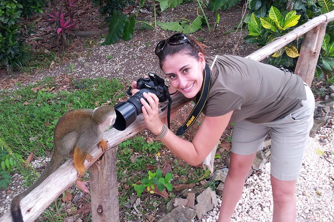 Adventure Bundle: Monkeyland, Ziplines & Buggies Punta Cana - Photos, Tips, and the Hidden Costs That Can Sneak In