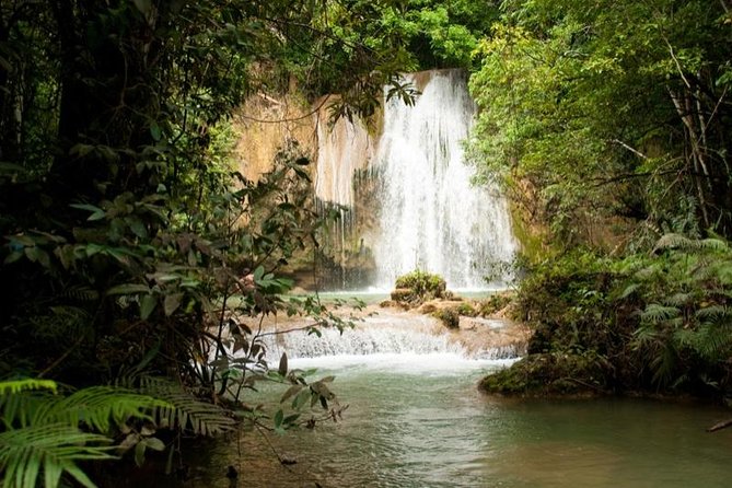 Adventure in the bay of samana and waterfall El limon from punta cana - Why This Samana Adventure Works as a First-Day Nature Hit