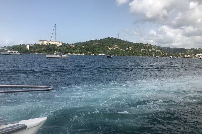 Adventure in the bay of samana and waterfall El limon from punta cana - Boat Ride and Whale Season: A Bonus, Not a Promise