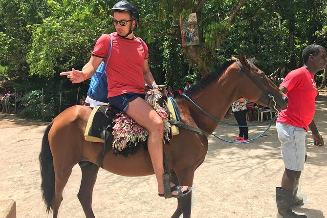 Adventure in the bay of samana and waterfall El limon from punta cana - Price and Value: Is $140 a Good Deal?