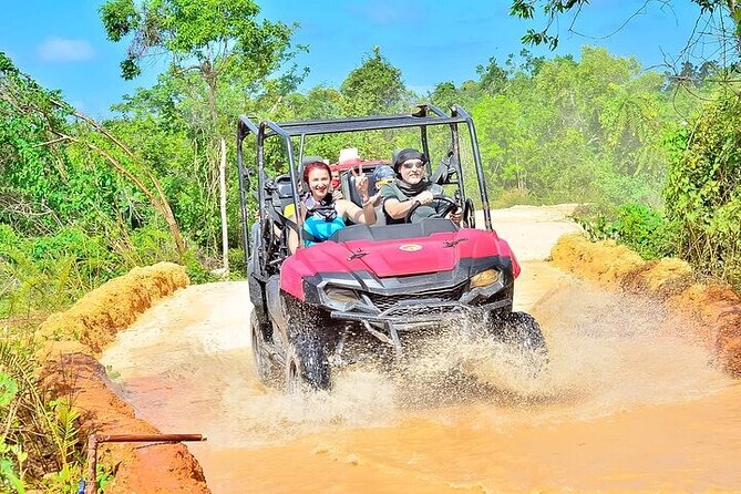 Adventure Tour con Buggies Ziplining Cenote y Taino Culture - Organic product tasting: coffee, cacao, and mamajuana