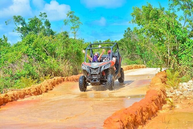 Adventure Tour con Buggies Ziplining Cenote y Taino Culture - Zip lines over the treetops: the thrill you can plan for