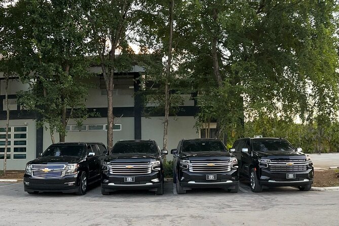 Affordable Private Airport Transfer in Punta Cana - Key Things to Know Before You Go