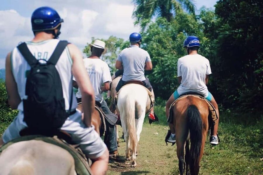All-Inclusive Day Trip from Punta Cana: DR Culture Immersion - The real vibe of an 8-hour DR culture day trip from Punta Cana