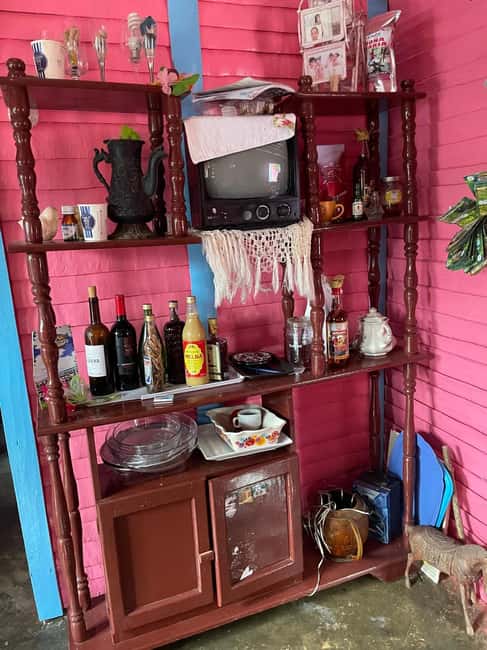 All-Inclusive Day Trip from Punta Cana: DR Culture Immersion - A rural family visit, home-style food, and the lifestyle behind the scenery