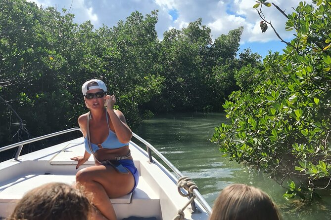 All Inclusive Saona Private Boat Tour from 165 USD p/P - Stop 3: Caribbean Cruising With Optional Snorkel and Las Palmillas Chilling