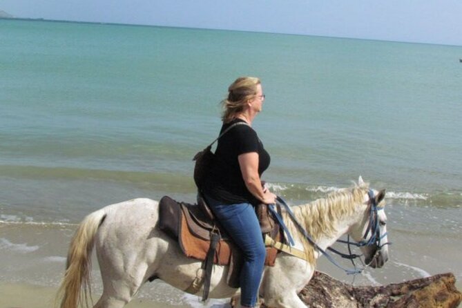 Amazing 3-Hour Horseback Riding at Puerto Plata with Pickup - The Beach Hut Stop, Photos, and the Sales Pressure Question