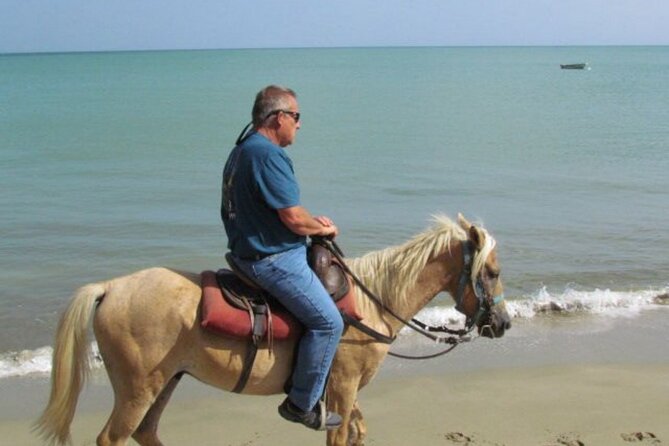 Amazing 3-Hour Horseback Riding at Puerto Plata with Pickup - How the 3 Hours Works on Real Ground Time