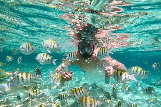 Amazing Paradise Island + Snorkeling-Mangrove Tour & Locale Food. - Entering Cayo Arena: The Snorkeling Setup and No-Shoes Reality