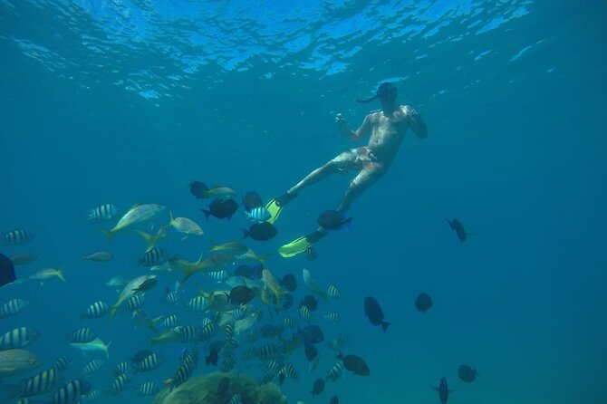 Amazing Paradise Island + Snorkeling-Mangrove Tour & Locale Food. - Included Snorkeling Gear, Drinks, and WiFi: The Good and the Real-World