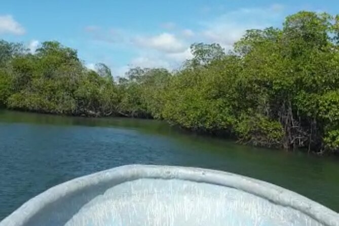 Amazing Paradise Island + Snorkeling-Mangrove Tour & Locale Food. - Group Size: What Maximum 18 Means on the Ground