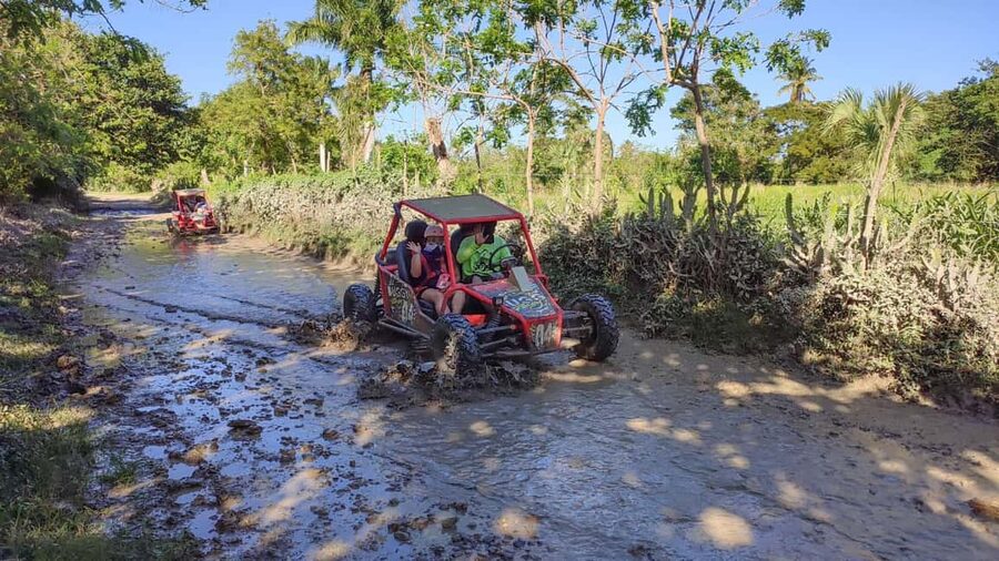 Amber Cove & Taino Bay: Buggy Tour with Swimming & Tasting - Cigar Factory Stop, Mamajuana Shots, Coffee, and Hot Chocolate