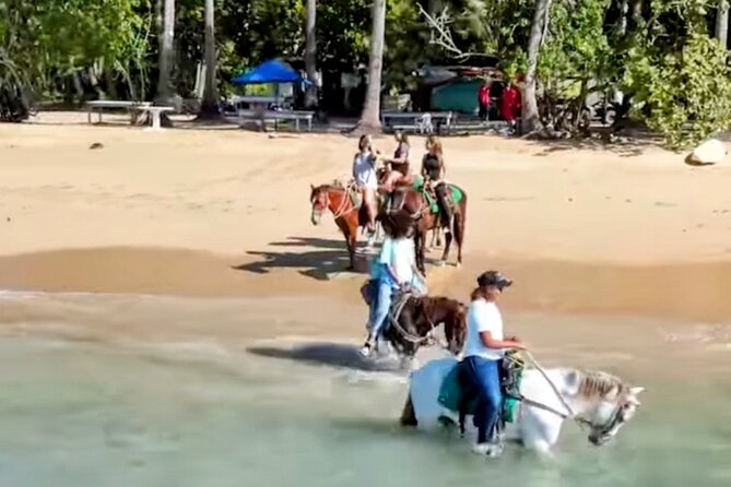 AMBER COVE-TAINO BAY Horses Beach Ride & City Sightseeing - Key Points to Know Before You Go