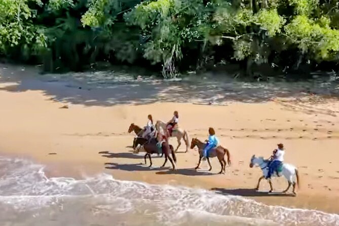 AMBER COVE-TAINO BAY Horses Beach Ride & City Sightseeing - Price and Value: Why $95 Can Make Sense Here